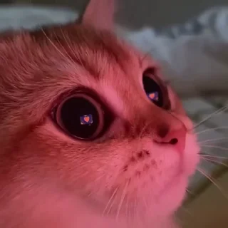 My size