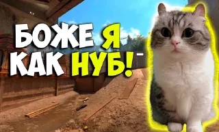 😭