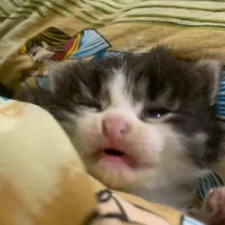 😕