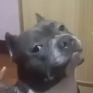😕