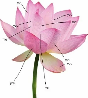 💓