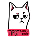 🐈