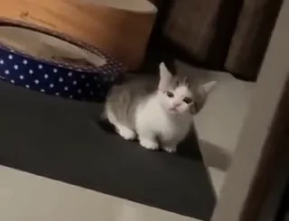 🤪
