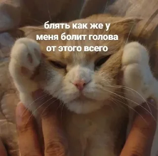 🥲