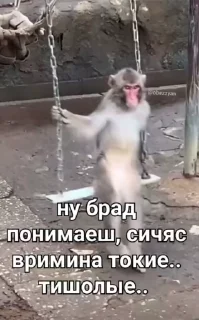 😅