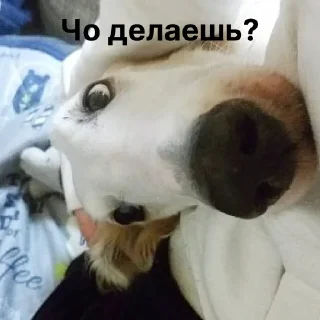 👀