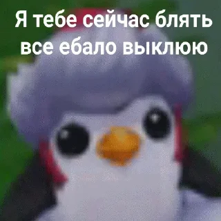 😾