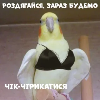 👙