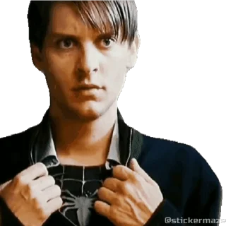 🕷️