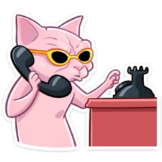 ☎️