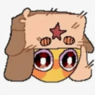 🌟