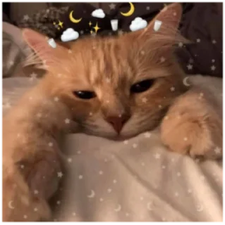 😴