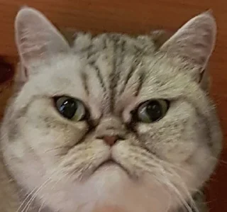 😠