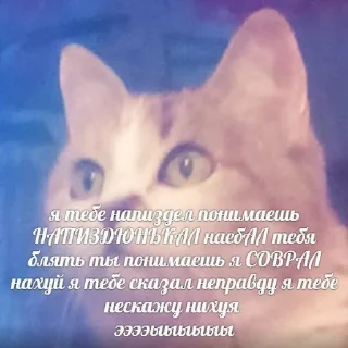 🥺