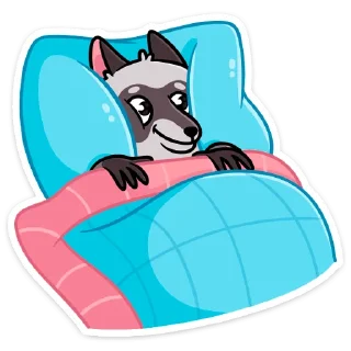 😴