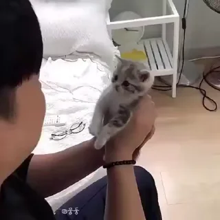💕