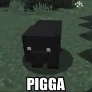 💩