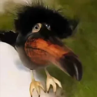 😱