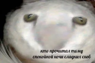🧐