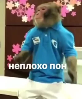 🌟
