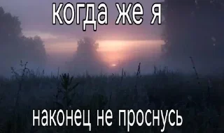 🧂