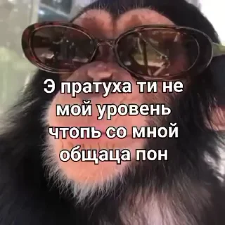 😜