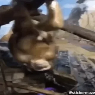 🐒