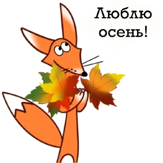 🍁