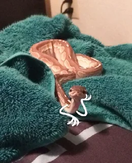 👀