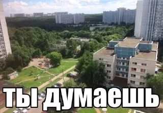 🧂