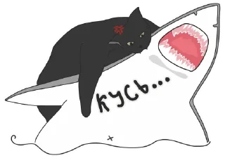 🦈
