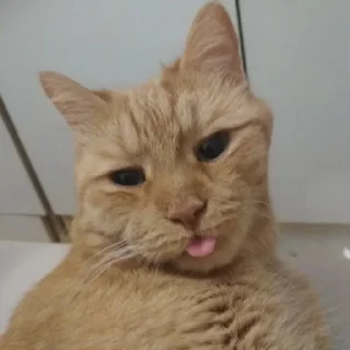 🥵