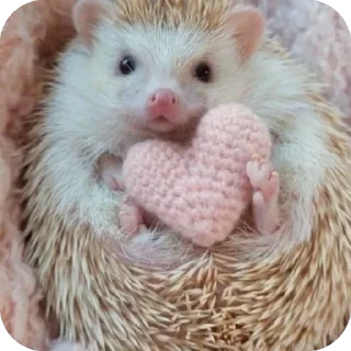 ❤