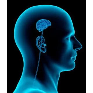 🧠