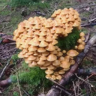 💖