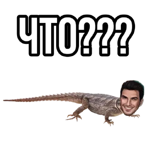 😨