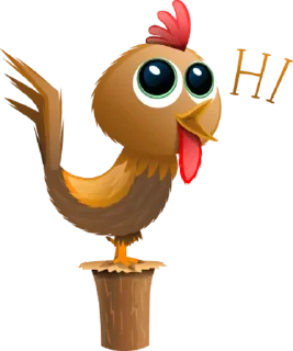 Gallo