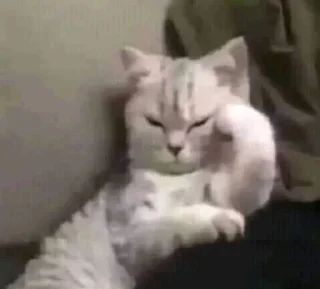 🤨