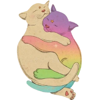 ✨