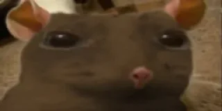 🐀