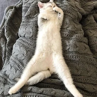 🏊‍♀