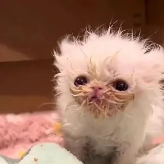 😨