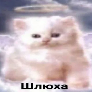 😞