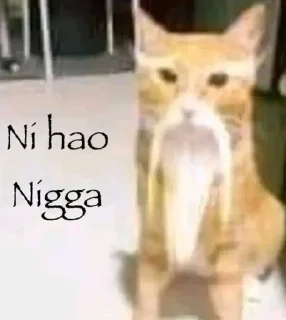 👋