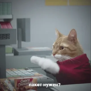 😺