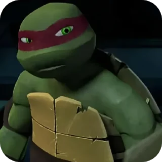 🐢