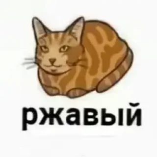 😘