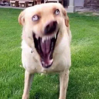 😱