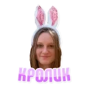 🐰