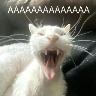 😨